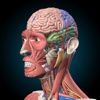 Corps humain - Atlas anatomie humaine, physiologie