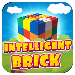 Intelligent Brick