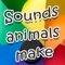 Sounds Animals Make PRO