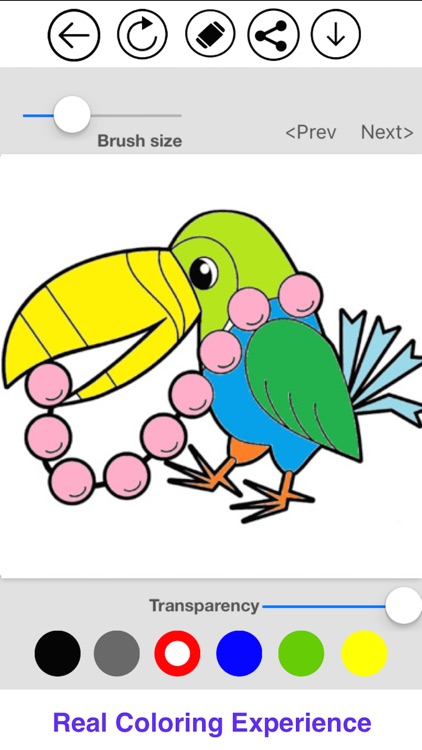 Recolor - Colory Book For Kids and Adults
