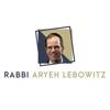 Rabbi Aryeh Lebowitz