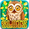 Forest Rescue Game Slot Machine: Timber Cards