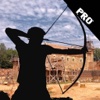 A Medieval Archer Of Good Aim PRO