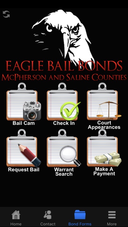 Eagle Bail screenshot-3