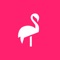 Icon Flamingo Scooters