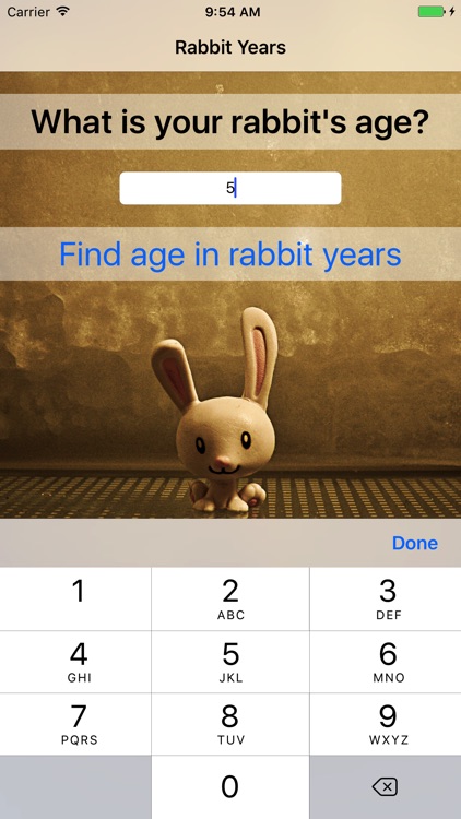 Rabbit Years - Simple Converter For Rabbit Years