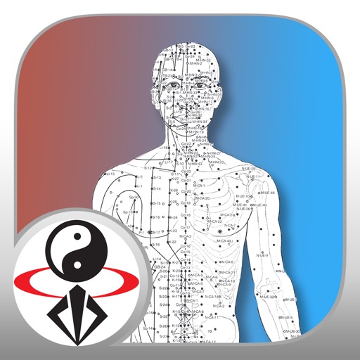Qi Energy Circulatory System Video Lesson