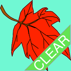 Activities of Leaf Adventure Clear