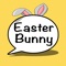 Icon Call Easter Bunny Voicemail
