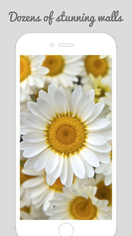 HD Flower Wallz - Flowers for Home & Lock Screens