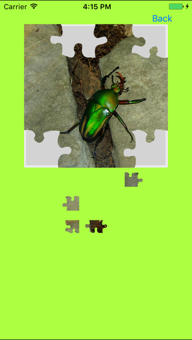 Rhinoceros Beetle Jigsaw Puzzle screenshot 3