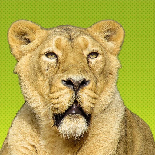 Wild Animal Stickers on Your Screen by Caleb Lombardo