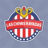 Las Chivas Rayadas - "fans del CD Guadalajara"