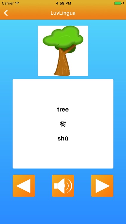 Learn Chinese Language LuvLingua Pro screenshot-3