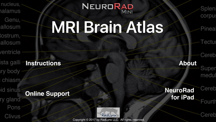 NeuroRad Mini