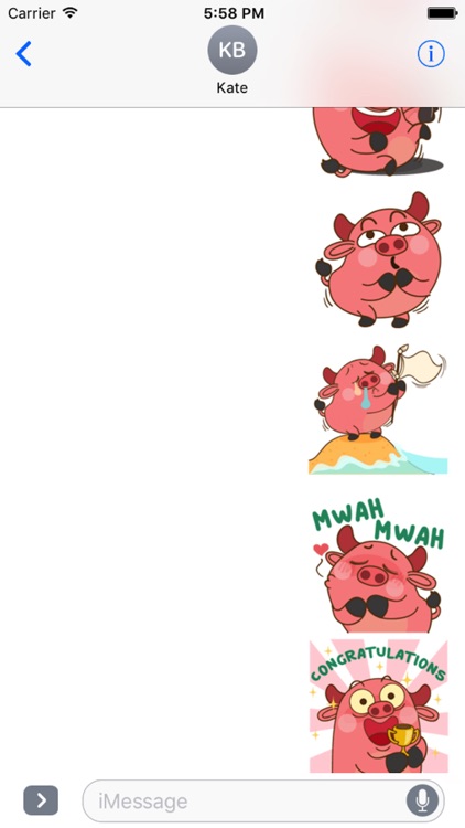 Funny Angry Pig