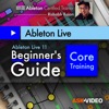 Beginner Guide for Live 11