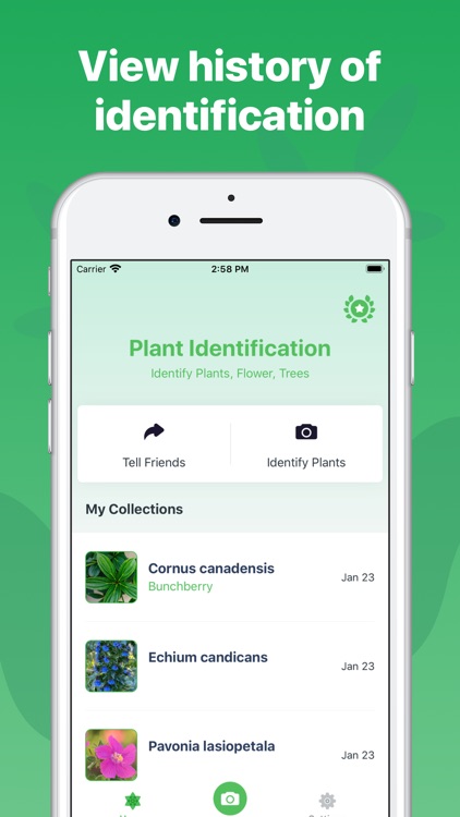 Plant Identification ++ screenshot-5