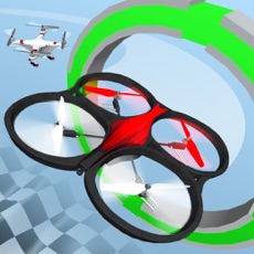 Activities of RC Drone Challenge
