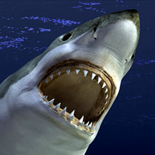 Ultimate Angry Shark Simulator Unlimited Icon