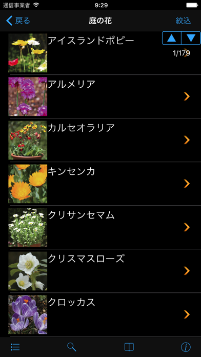 散歩で見かける四季の花 Iphoneアプリ Applion