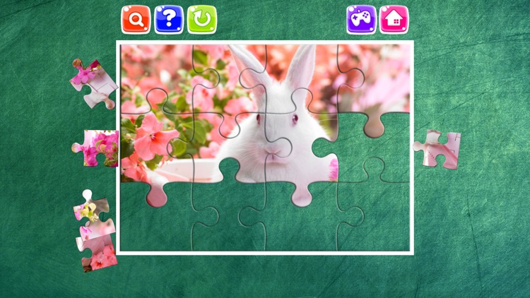 Rabbit Animal Jigsaw Puzzle Drag and Drop for Kids