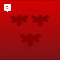 Blackburn App