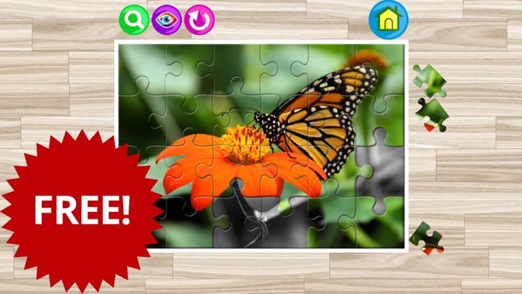 Butterfly and insect jigsaw puzzle games