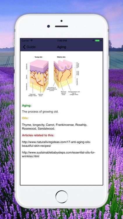 Essential Oils Guide Modern Aromatherapy for EO