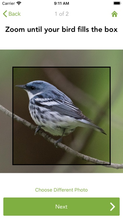 Merlin Bird ID by Cornell Lab screenshot-5