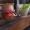 Restaurant Milano