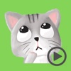 Cute Baby Cat Animated