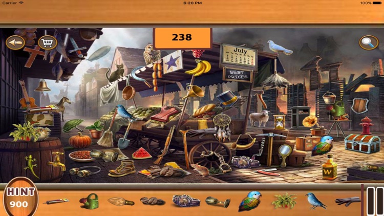 Hidden Objects : Photo Party screenshot-4