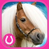 Konie i Kucyki - Edukacyjne Puzzle dla Dziewczynek