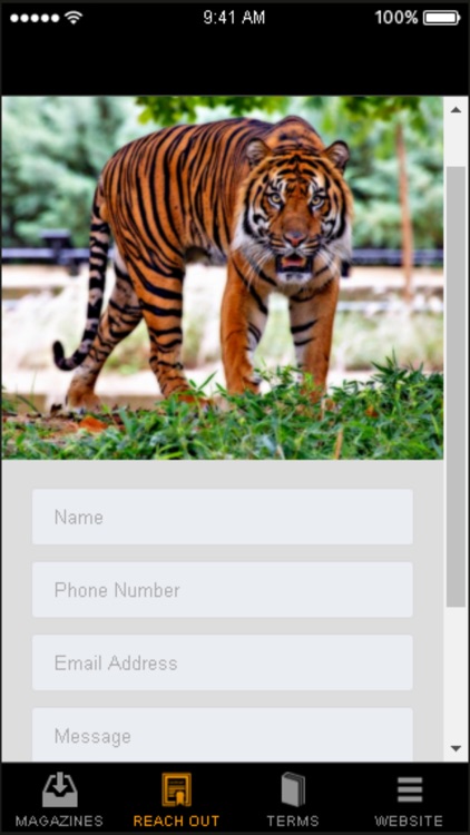 iMeow:Cat Lovers Magazine screenshot-3