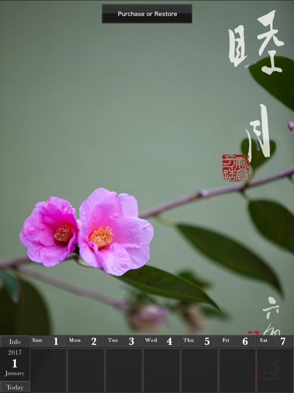 動く・はなといろカレンダー - そよ風に揺れる美しい花たちのおすすめ画像3