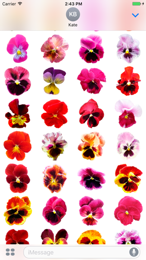 Beautiful Pansies Photostickers(圖4)-速報App