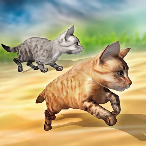 Fastest Pet Cat Racing fun Game icon