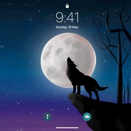 Download wallpaper 720x1280 wolf howl snow white art samsung galaxy  mini s3 s5 neo alpha sony xperia compact z1 z2 z3 asus zenfone hd  background