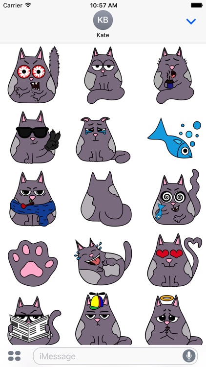 Fat cat Smoky - stickers with cats for iMessage.