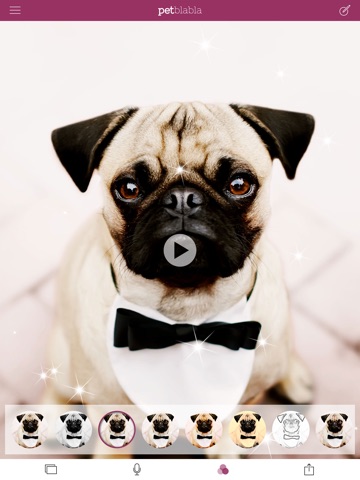 Tractive Pet BlaBla screenshot 4