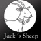 Icon Jack‘s Sheep