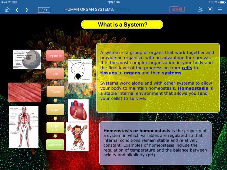 iLKA - ideas grow wings!