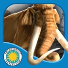 Woolly Mammoth In Trouble - Smithsonian