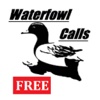 Duck Hunting Calls Full PRO