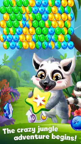 Game screenshot Jungle Squirrel Bubble 2017 mod apk