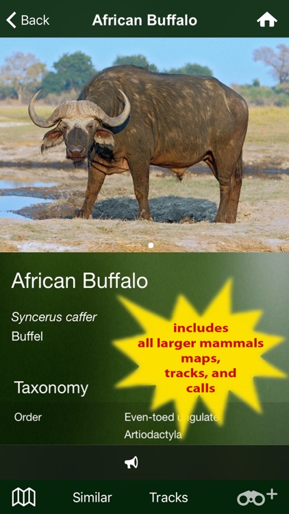Mammal Guide of Southern Africa