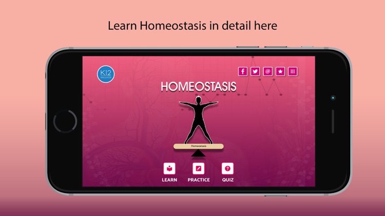 Homeostasis Biology