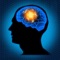 The modern world and its pace require a nimble mind, quick reflexes and the ability to remember and process large quantities of information