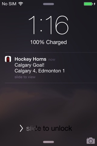 Hockey Horns Live screenshot 4